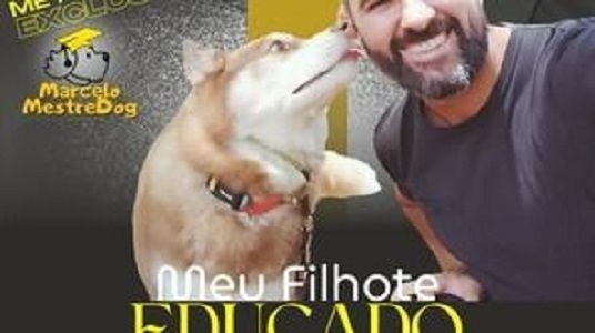 Meu filhote educado