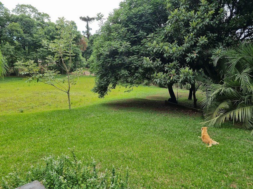 Chácara no Distrito de Marechal Bormann