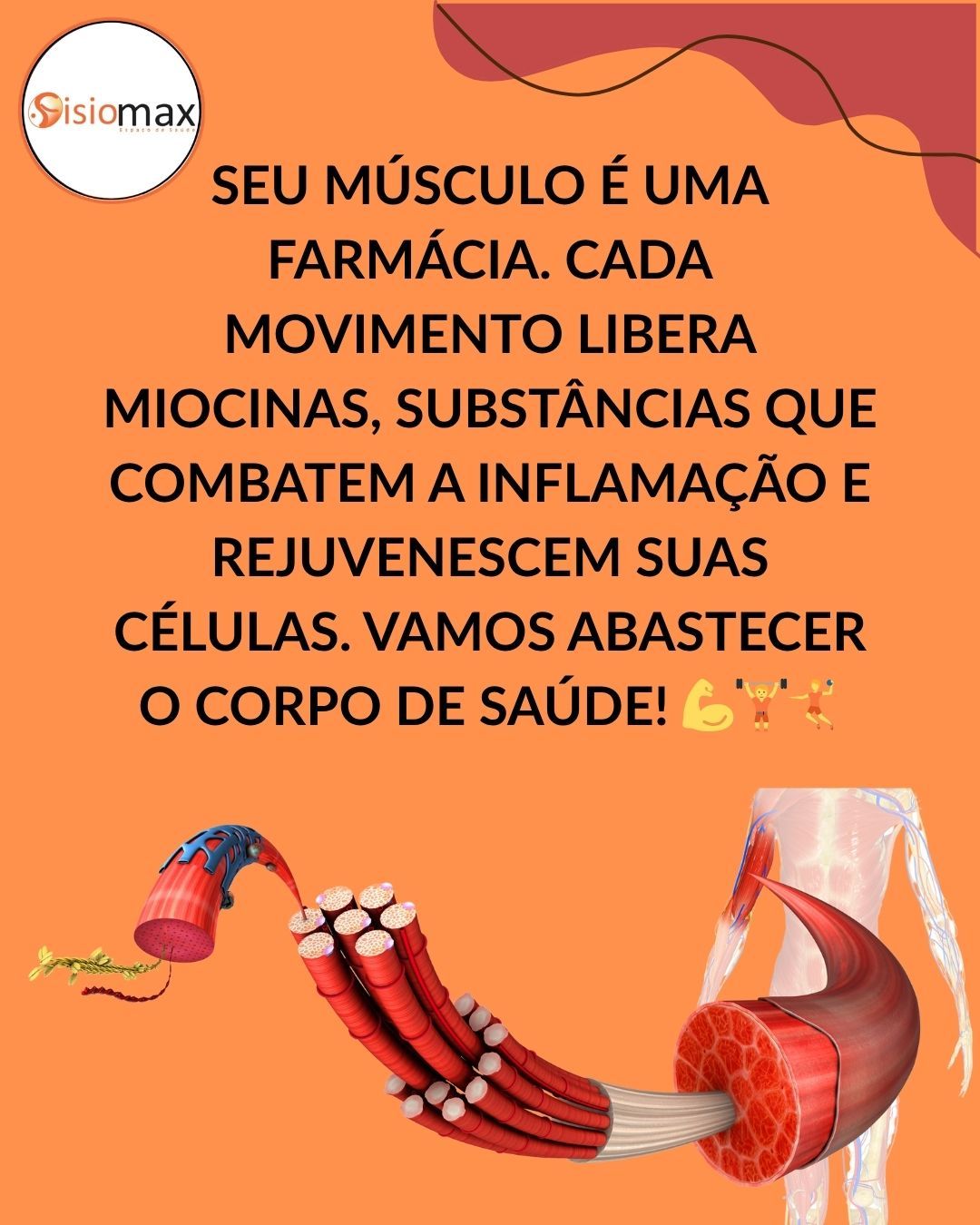 Você Sabia que Seu Músculo Produz Remédio? Entenda Como...