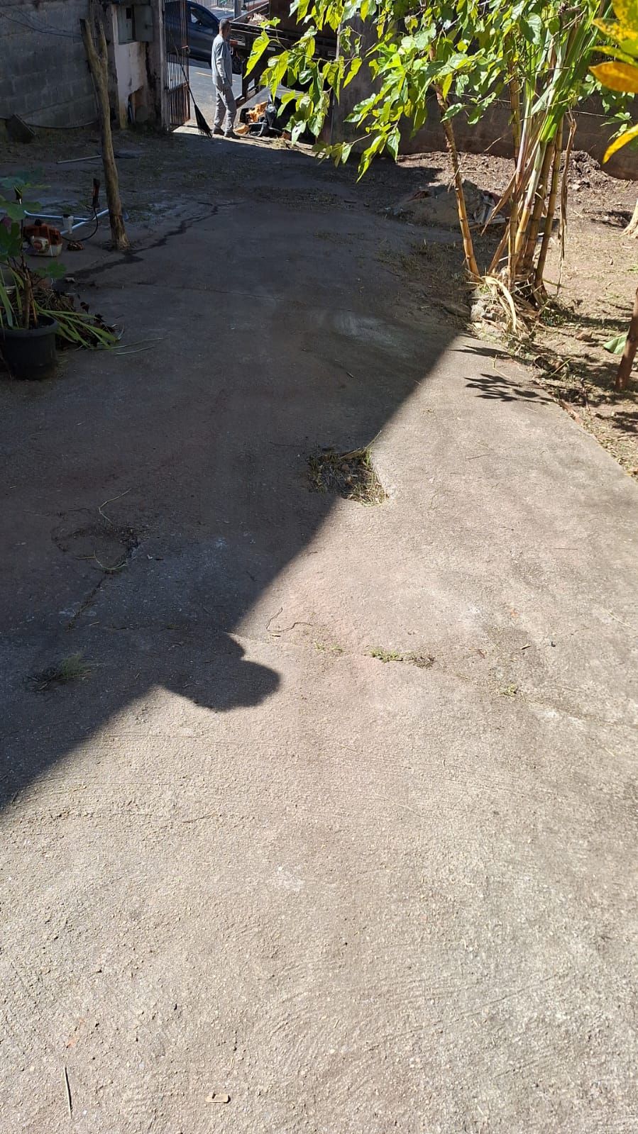 Poda de Arvore em Santo André