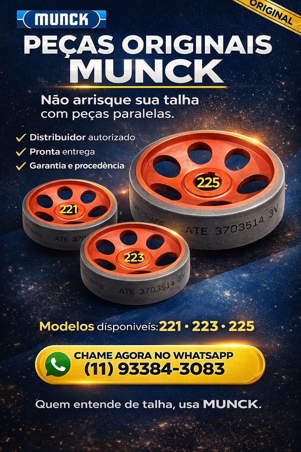Disco de freio  Alinhado e Balanceado - Talhas MUNCK