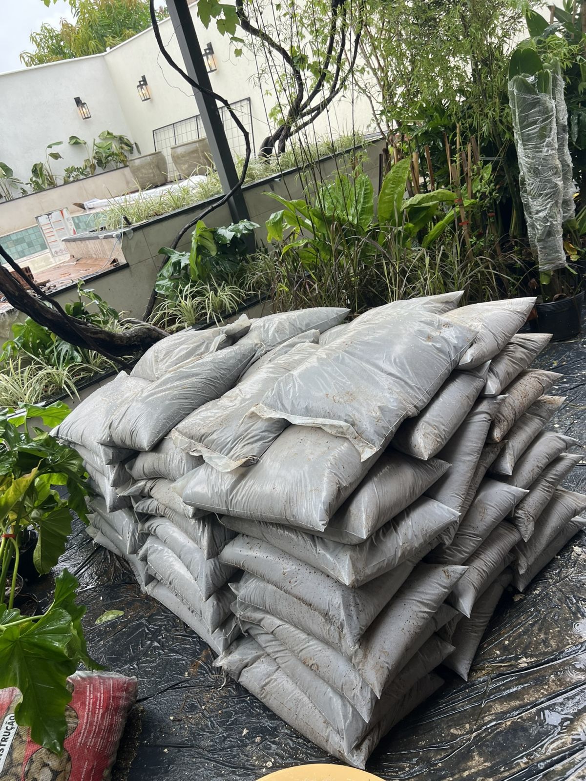 Terra Preta Adubada para Plantas