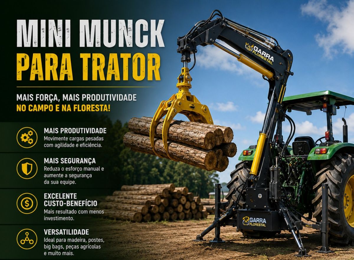 Mini Guindaste - Munck florestal